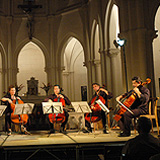 festival violoncelle callian cello fan musiciens ensemble nemesis